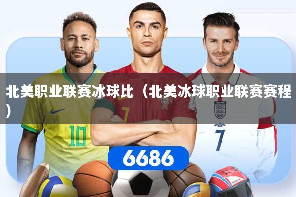 北美职业联赛冰球比（北美冰球职业联赛赛程）