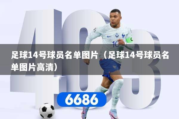 足球14号球员名单图片（足球14号球员名单图片高清）